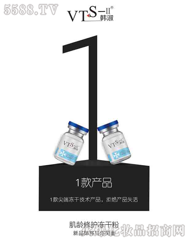 �V�|�R�������Ƽ����޹�˾��VTS���g���o���ɷ�