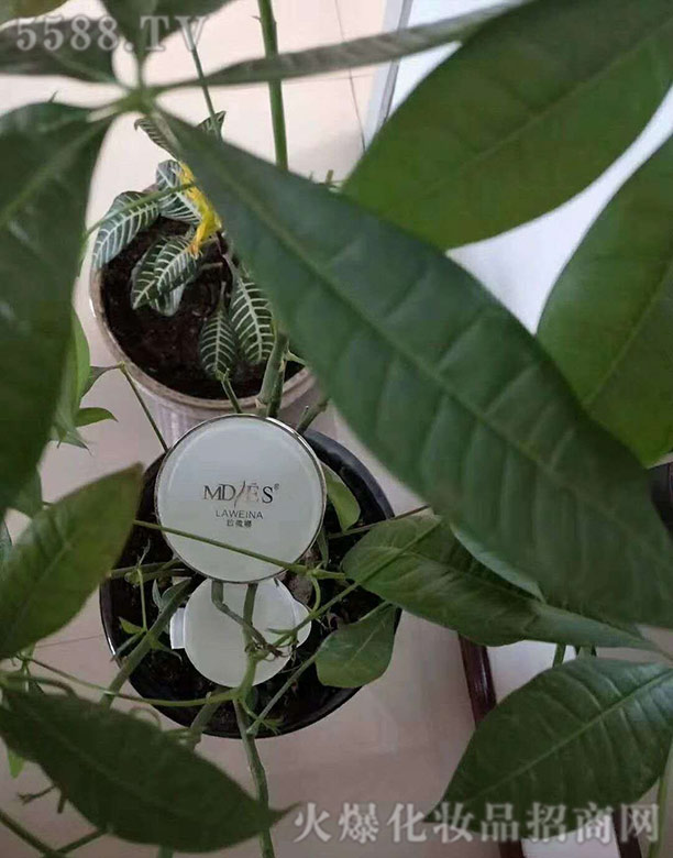 ����ɭ�����yƷ���޹�˾����|���xCC˪