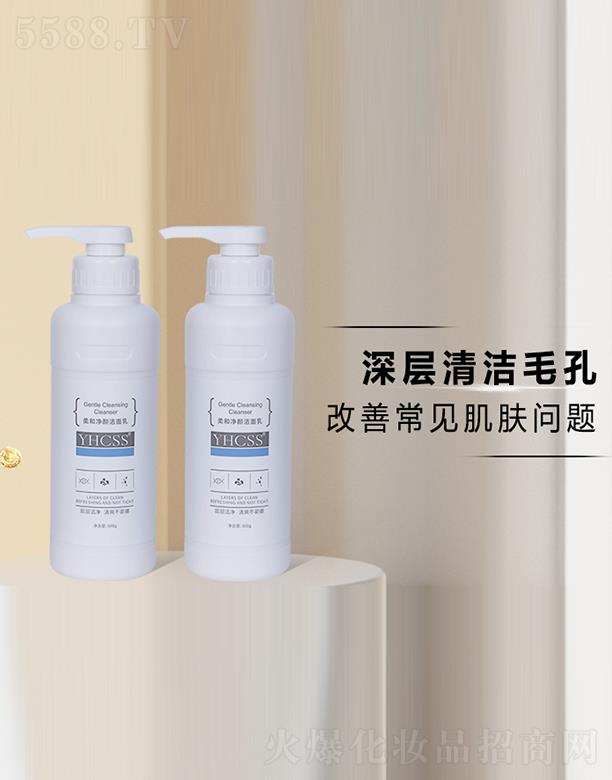 ���� (�V��)������ԃ���޹�˾��YHCSS��̓������