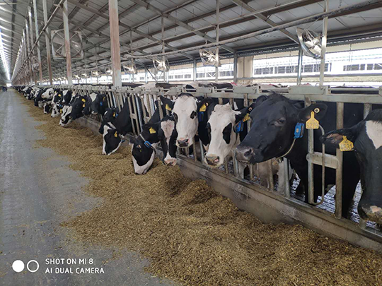 圖片1.png 圖片1.png