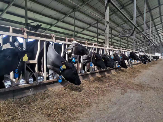 圖片2.png 圖片2.png