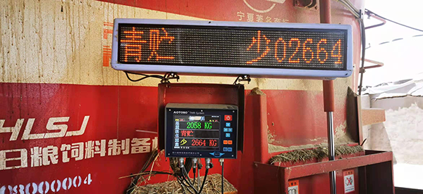 圖片5.png 圖片5.png