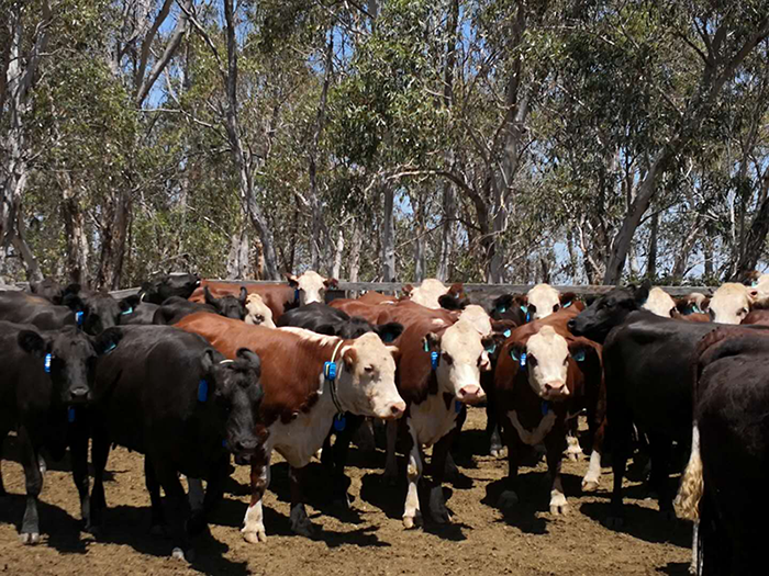 圖片22.png 圖片22.png