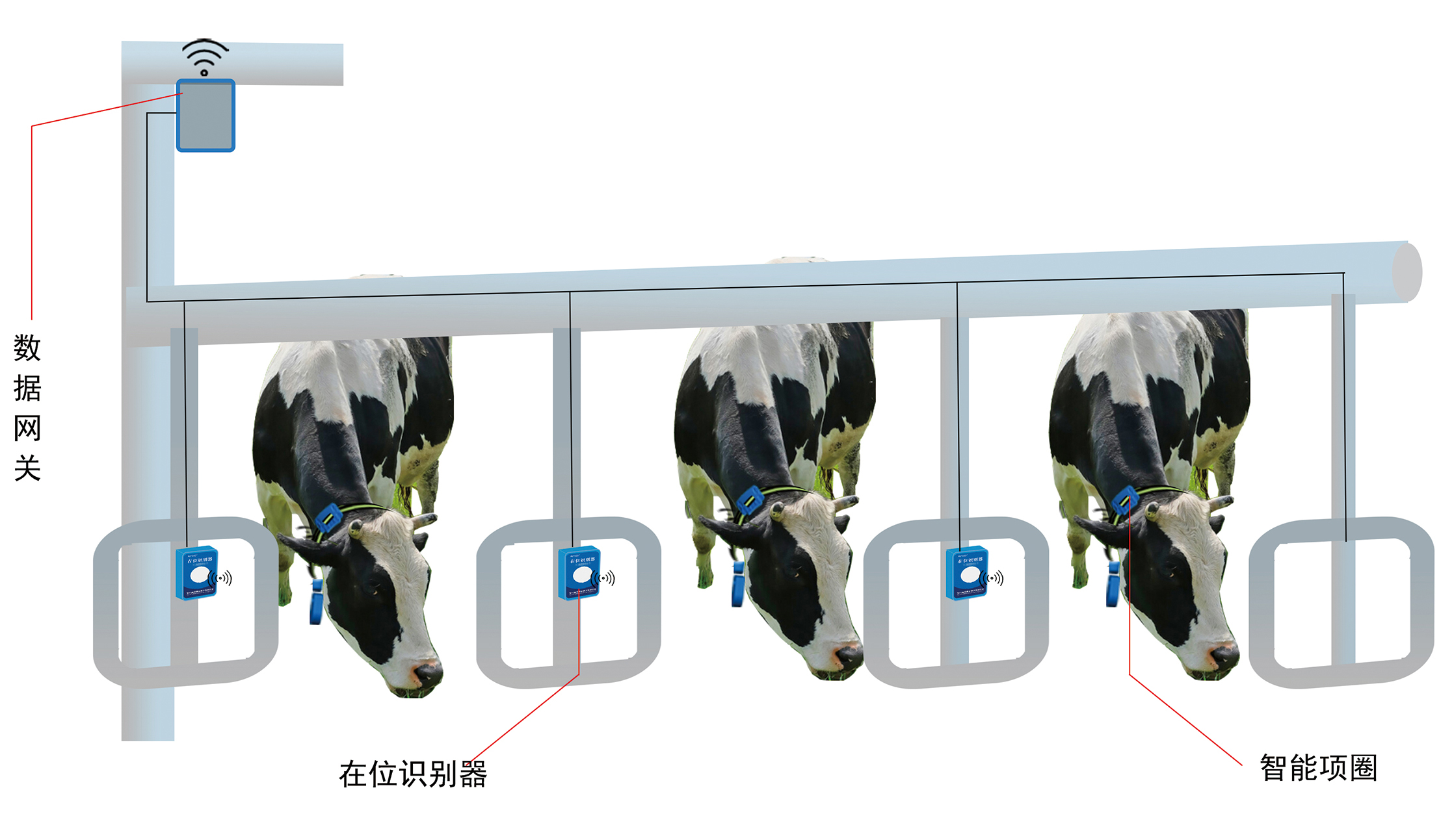 牛只在位識別系統(tǒng)V1-1.jpg 牛只在位識別系統(tǒng)V1-1.jpg