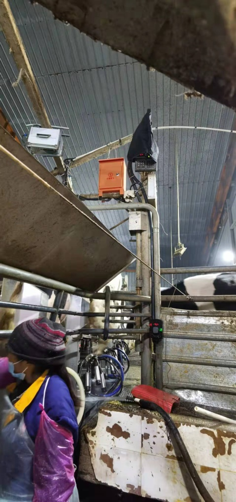 體況01.png 體況01.png